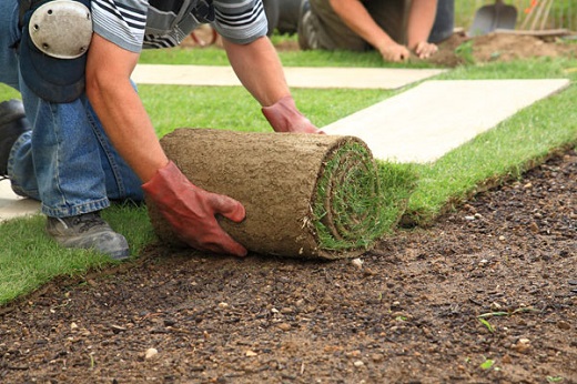 C'est quoi la diffrence entre un jardinier et un paysagiste? - Entretien de Jardin