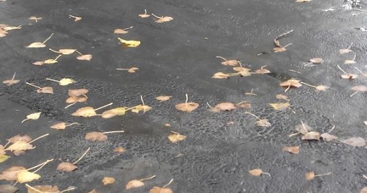 Quelles sont les solutions pour garantir l'tanchit d'une terrasse de toit? - Terrasse