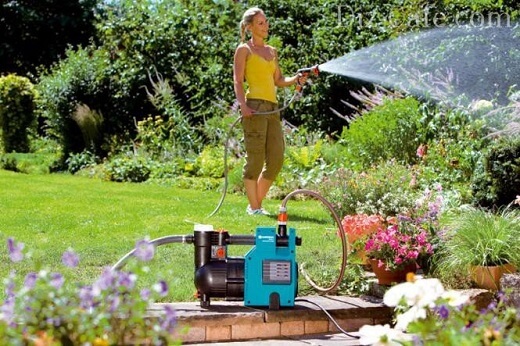 Quelle pompe choisir pour arroser un jardin ou un potager? - Terrassement, Puits et Forage