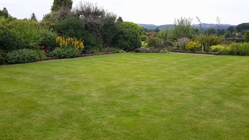 Refaire une pelouse : combien a cote? - Entretien de Jardin
